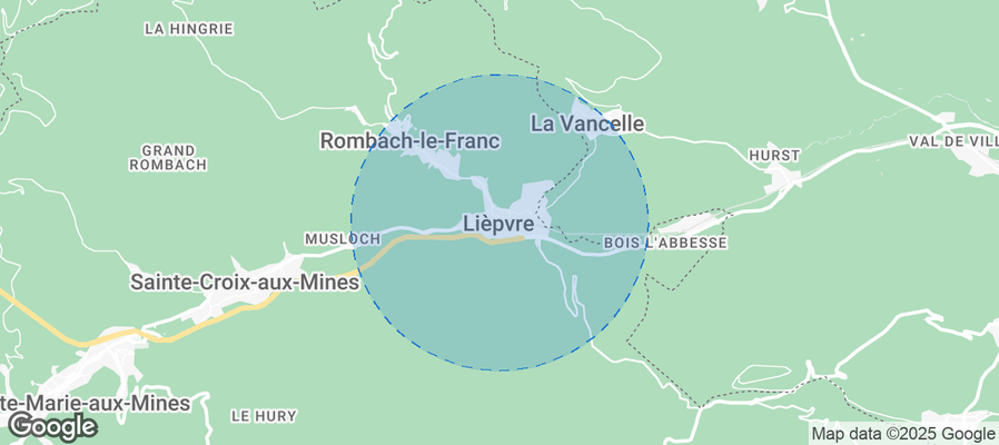 Discover Lièpvre Airbnb Analytics